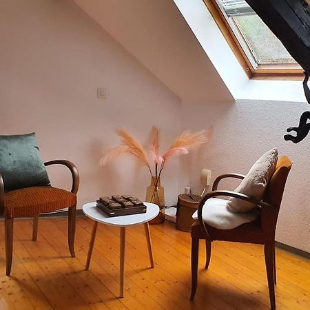 Loft Gaia Apartment Brunstatt-Didenheim Exterior photo