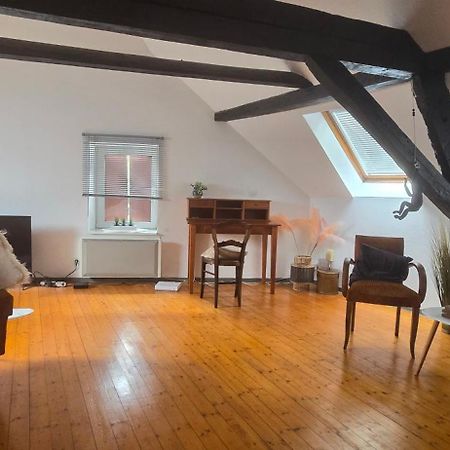 Loft Gaia Apartment Brunstatt-Didenheim Exterior photo